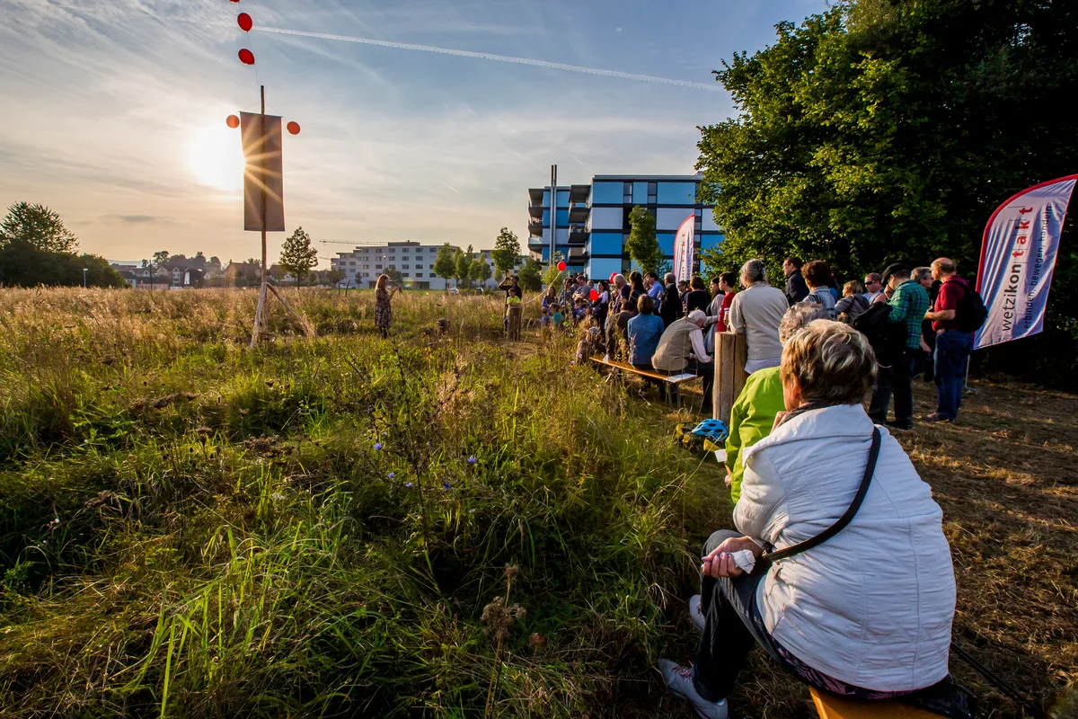 Färberwiese im Sonnenuntergang